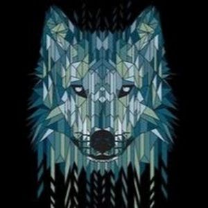 Meet your Posher, Lu